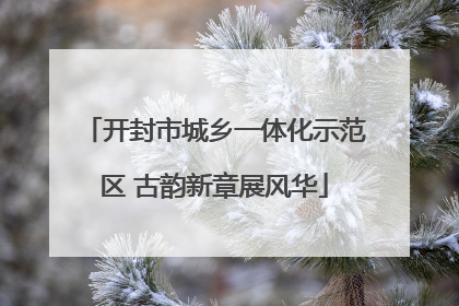 开封市城乡一体化示范区 古韵新章展风华